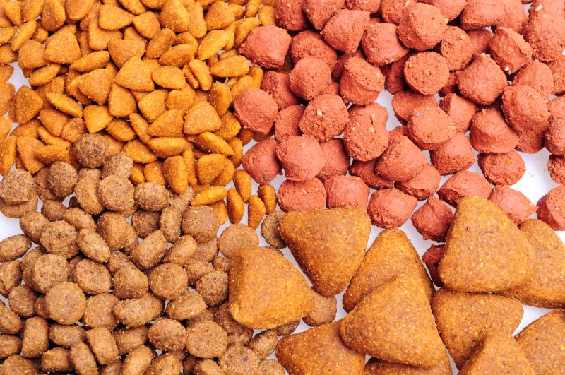 dry dog foods