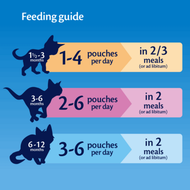 How Many Pouches of Wet Food for Kitten?