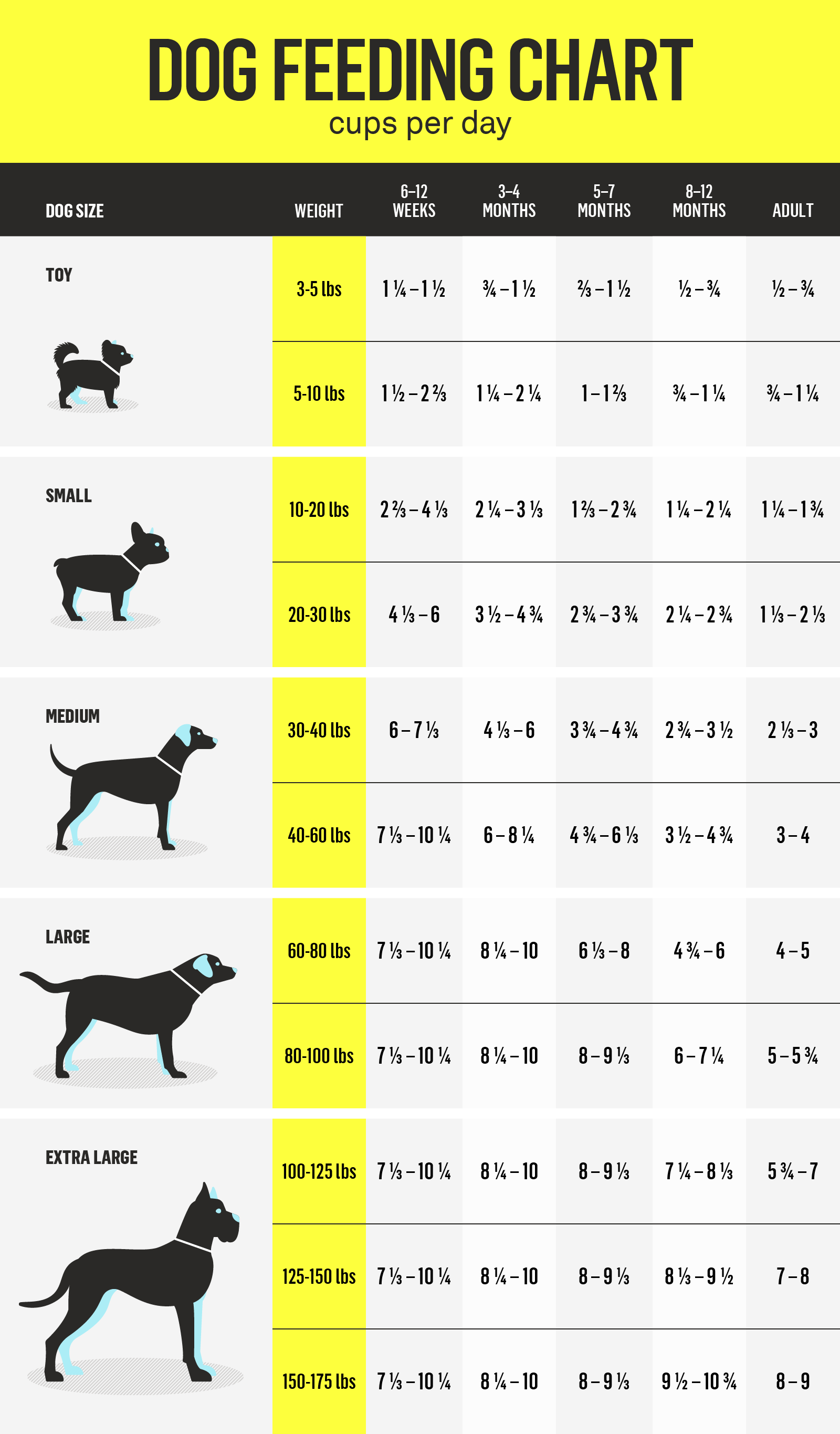 How Much Dry Food Should I Feed My Dog?