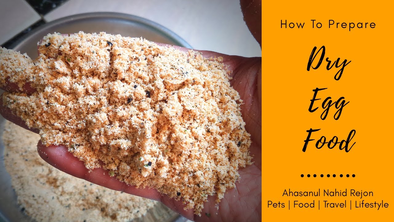How to Make Dry Egg Food for Birds?