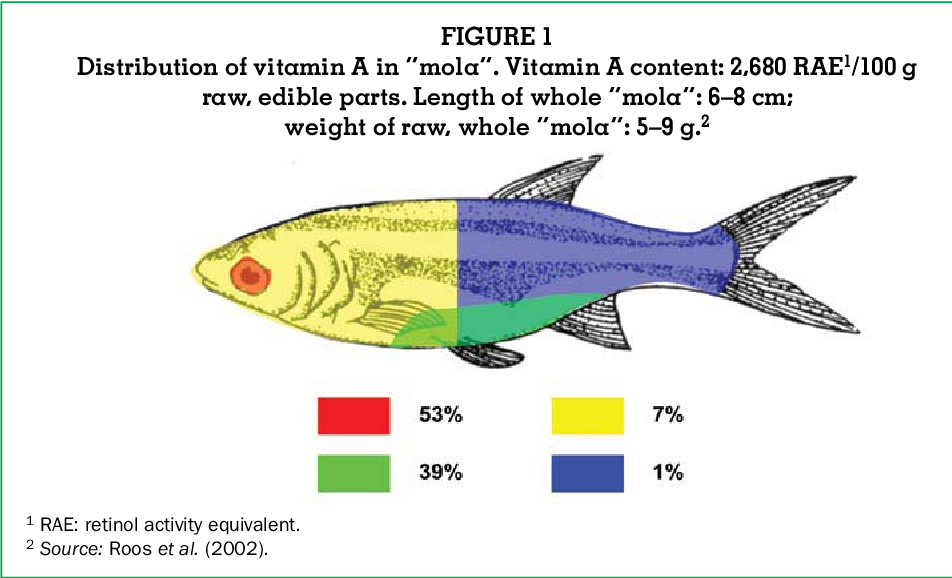 understanding-the-nutritional-needs-of-different-fish-species