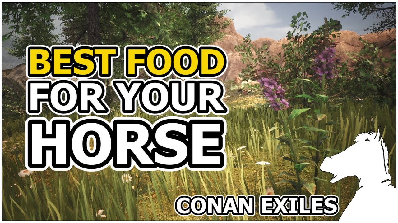 What to Feed Horses Conan Exiles?