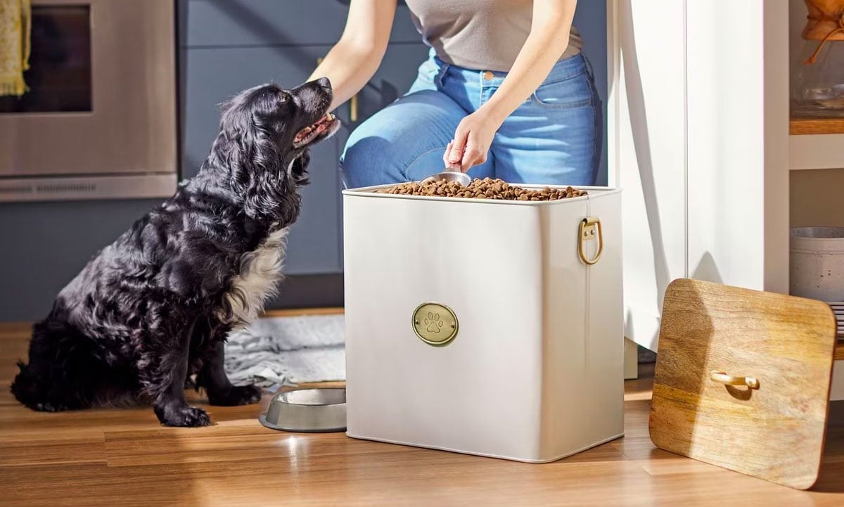 How to Store Dry Dog Food Properly