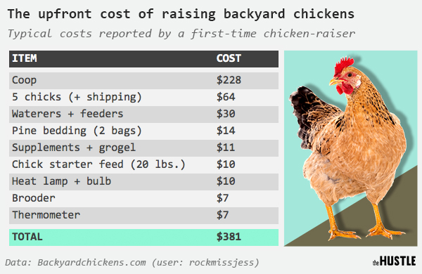 How Much Does A Chicken Cost To Feed 