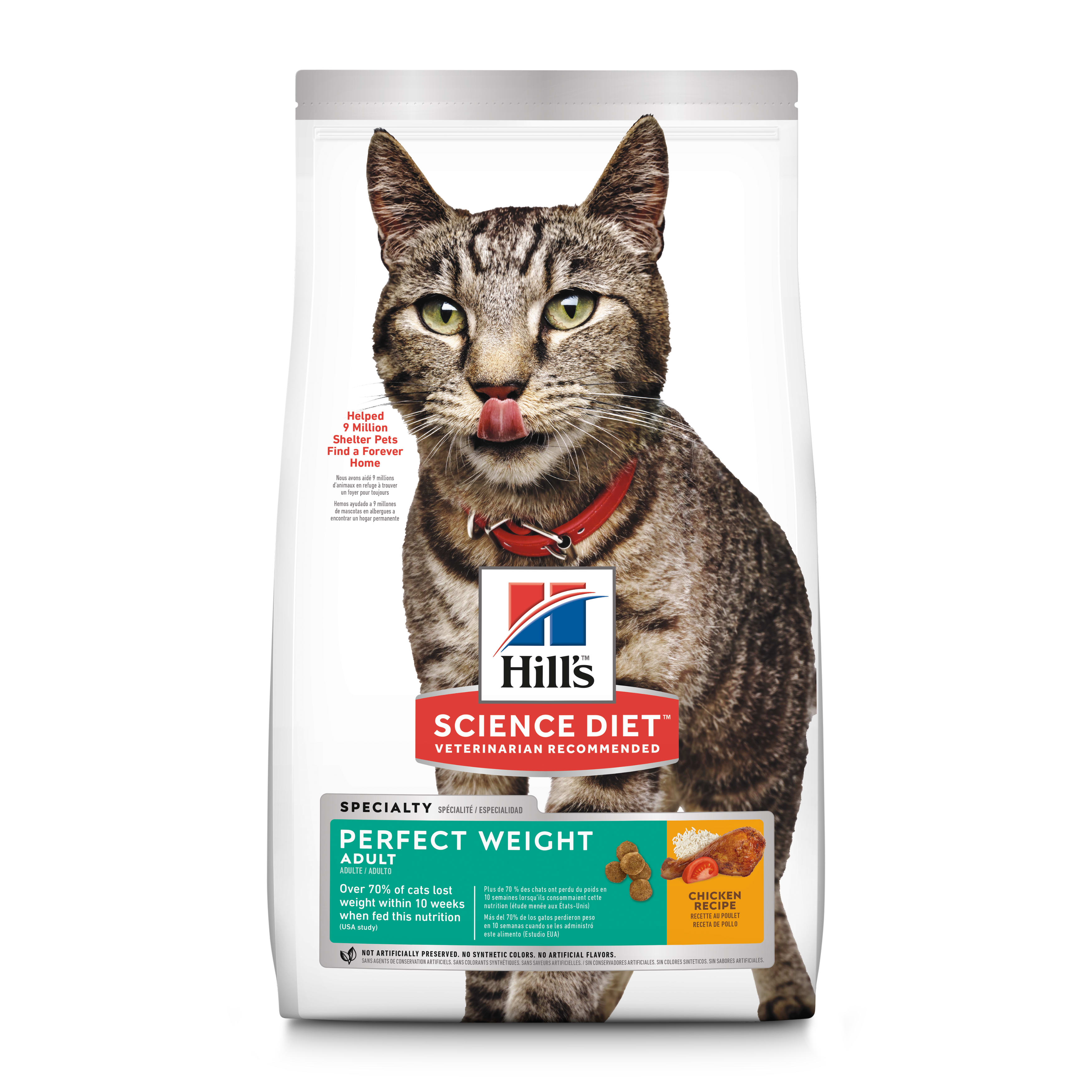 What is the Best Dry Cat Food for Weight Loss?