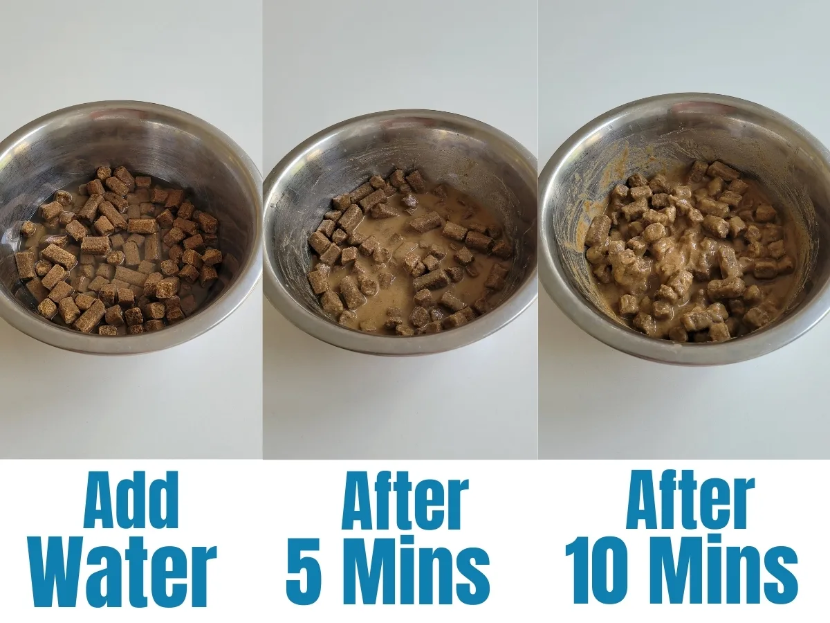 Are You Supposed to Add Water to Dry Dog Food?