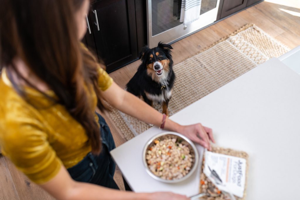 Wet Dog Food for Picky Eaters: Strategies and Recommendations