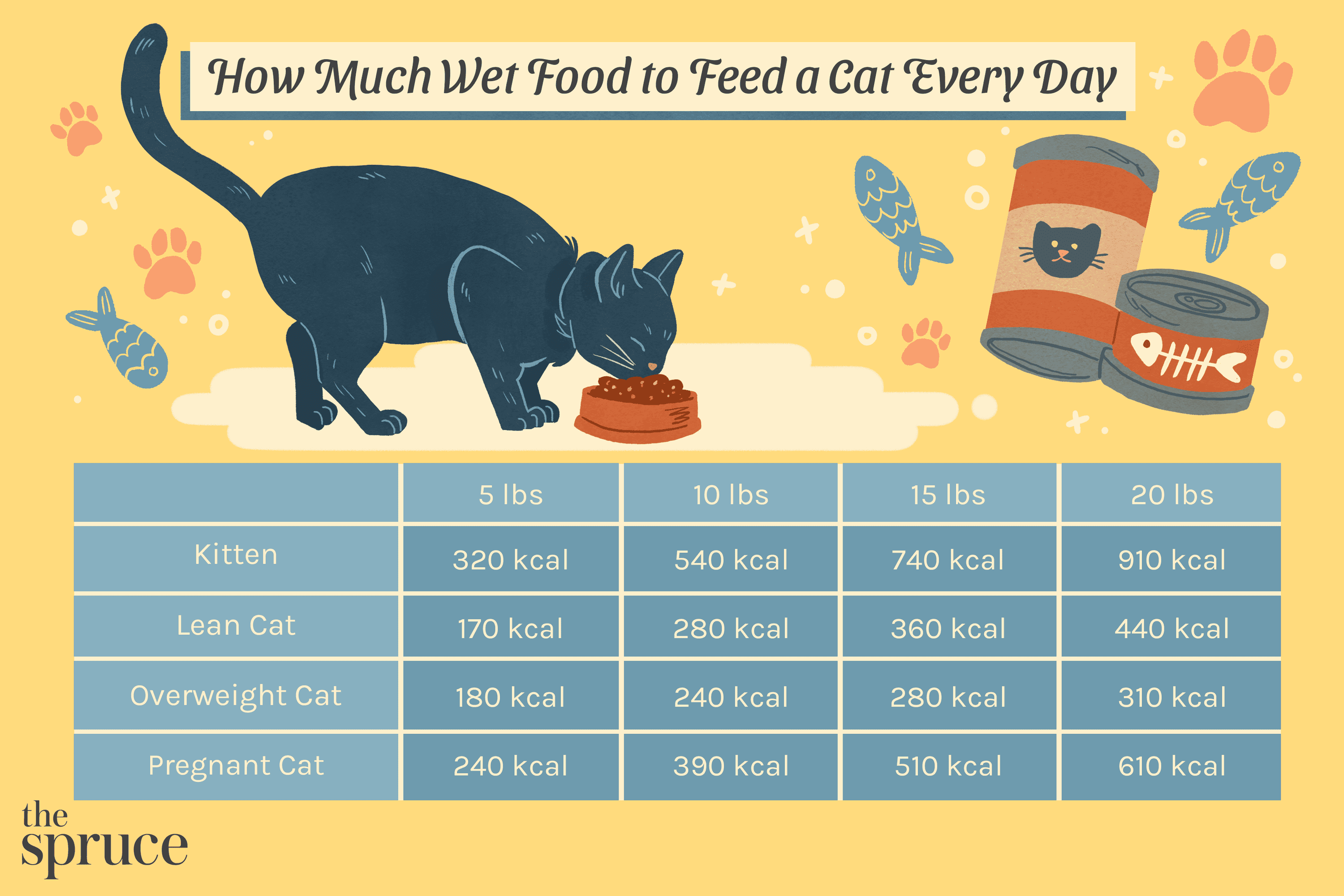 How Much to Feed a Cat Chart Wet Food?