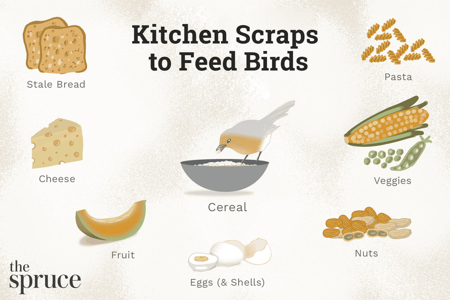 What Can Birds Eat Besides Bird Food?