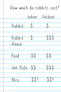 How Much Does Rabbit Food Cost?