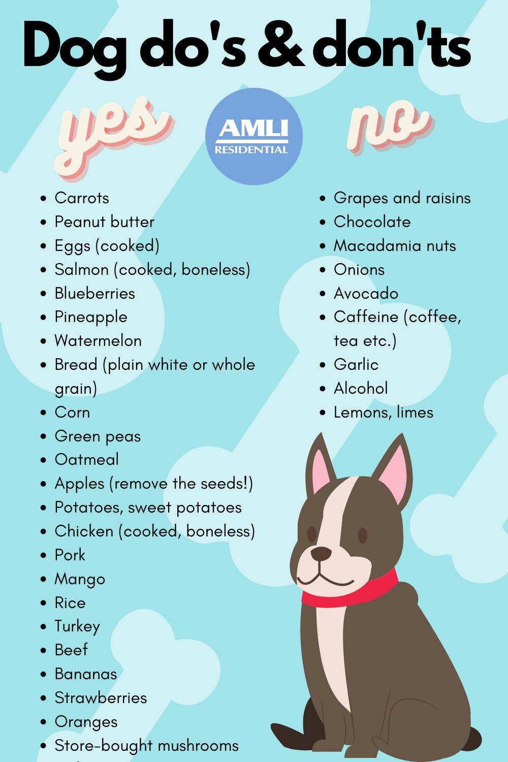 All-natural Dog Treats: Benefits and Options