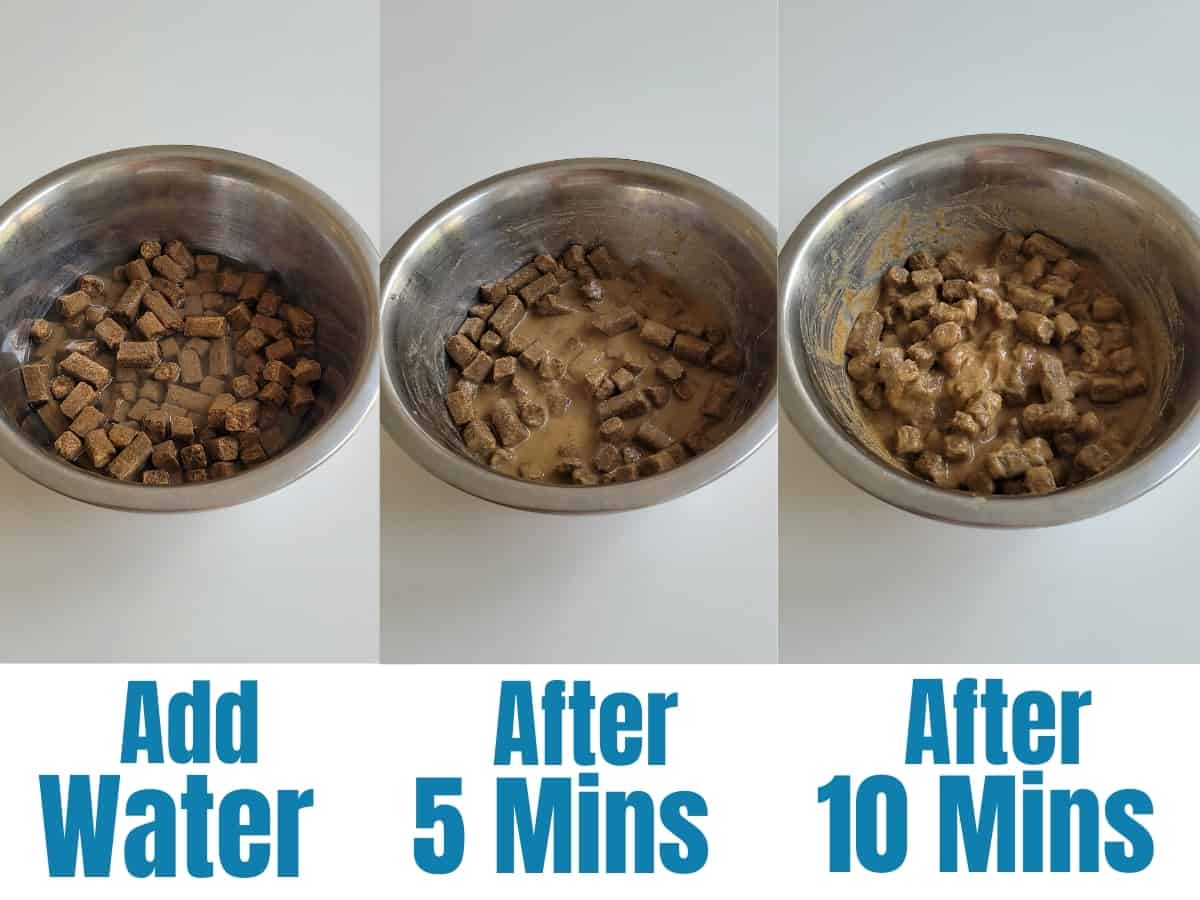 Is It Good to Put Water in Dry Dog Food?