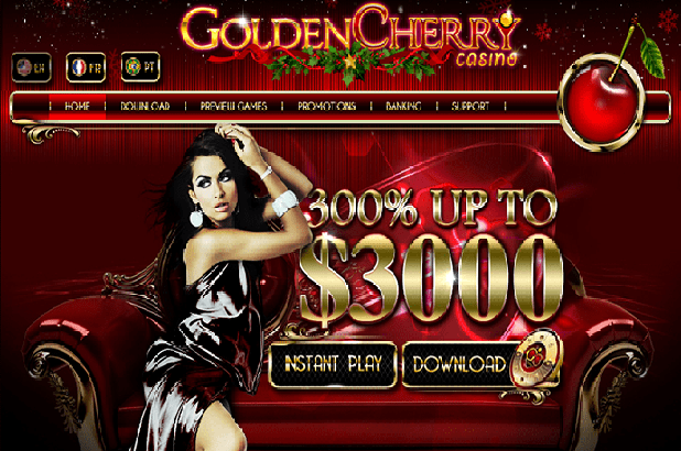 quick hit platinum slot bonus