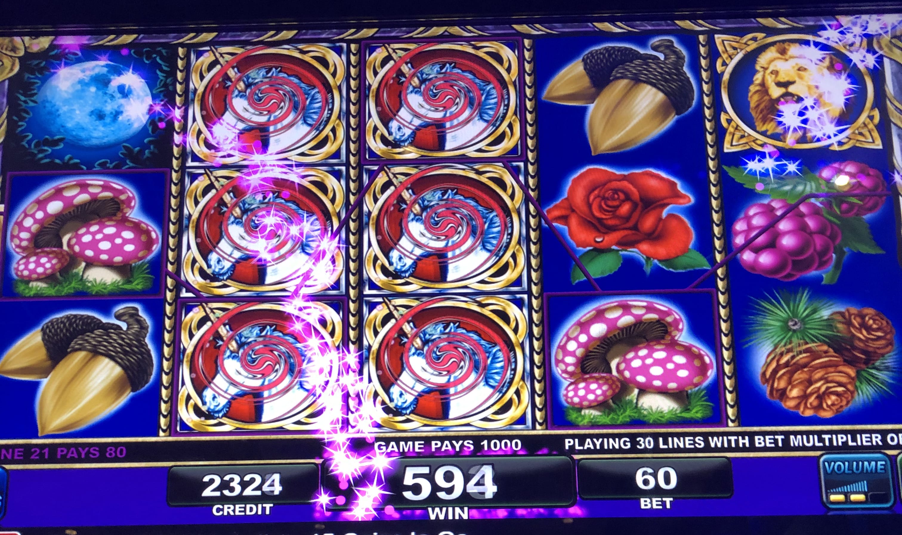 casino niagara app
