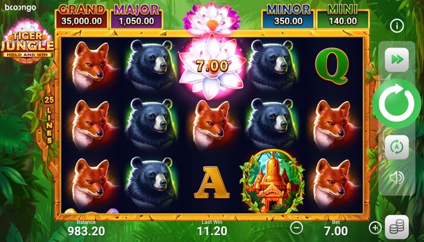 melbet 300 bonus terms and conditions