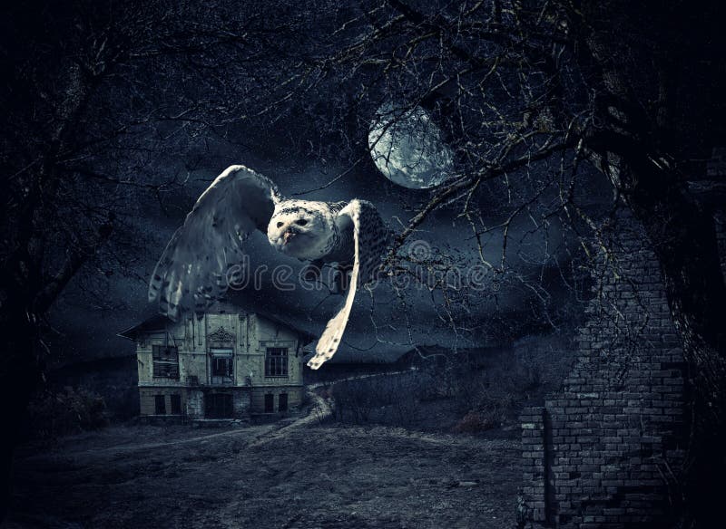 casino app real money