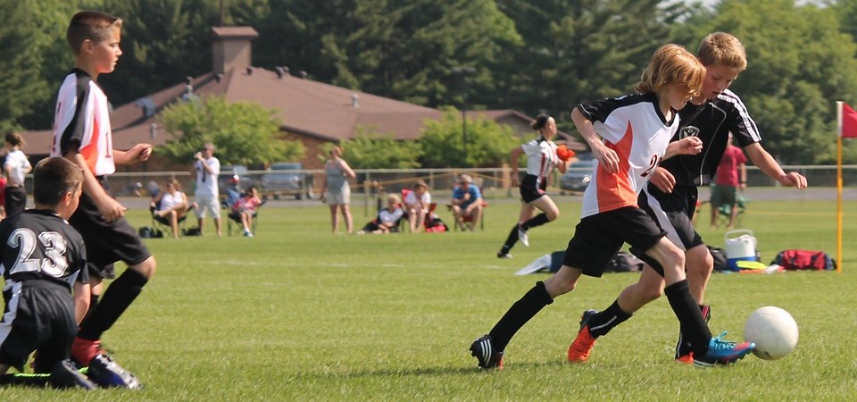 nasveti za stave na športne knjige