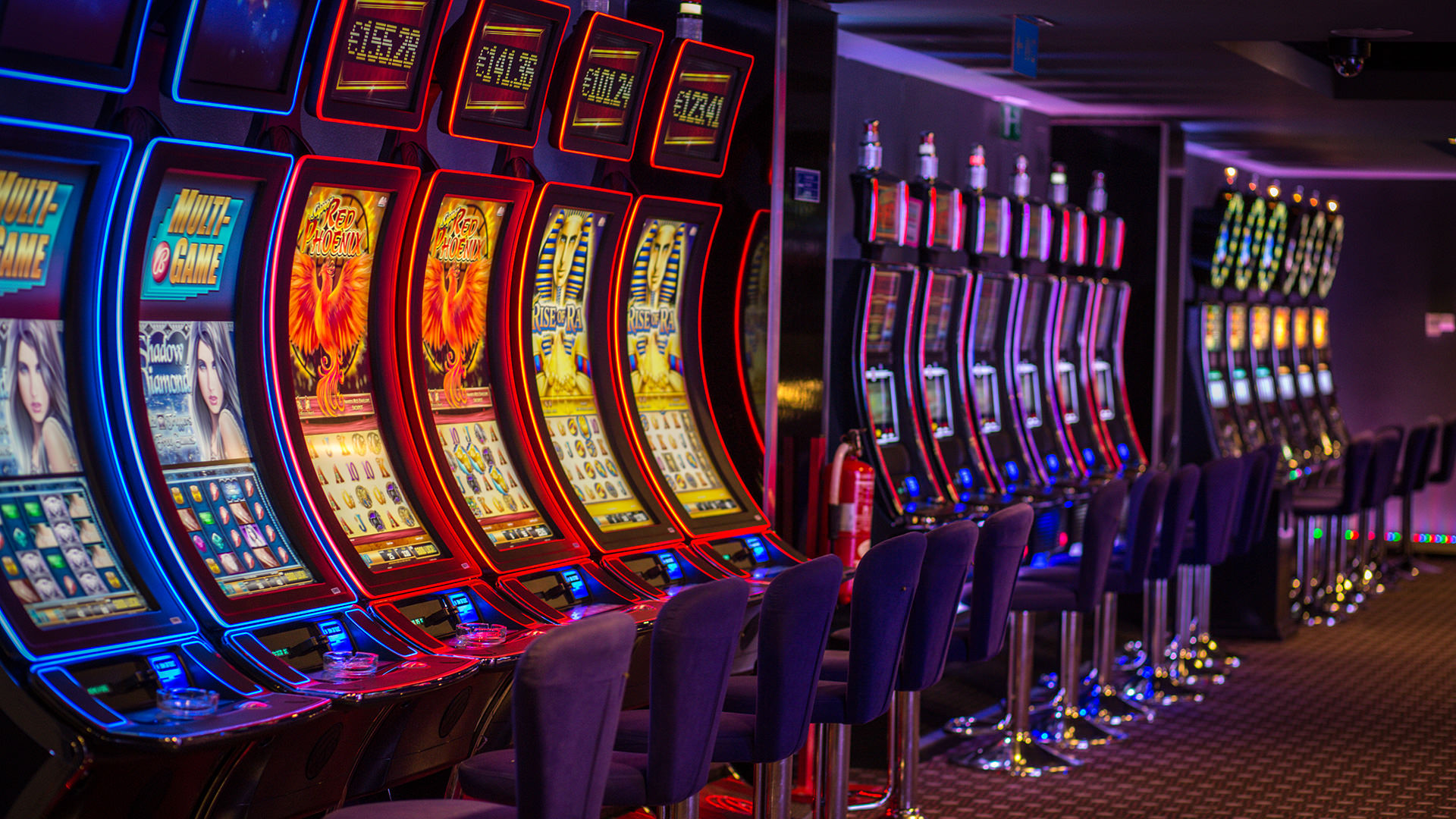 power pups heroes casino bonus