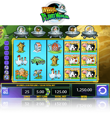 oink country love slot