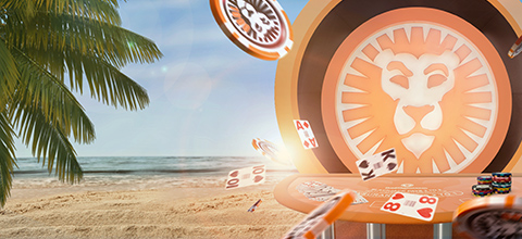 basta casino jackpot