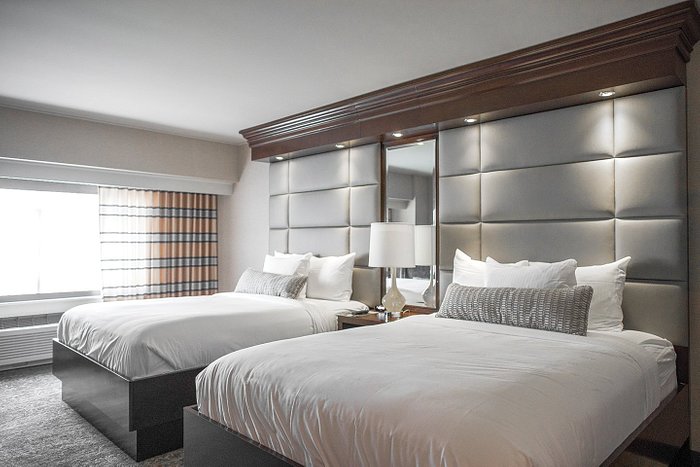 no deposit bonus today