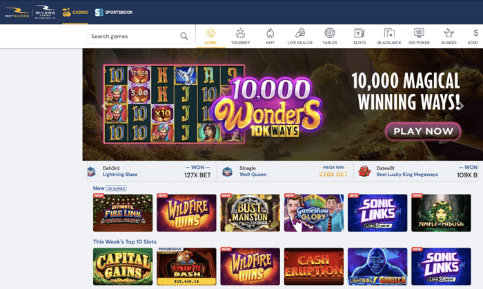 cats video pokie