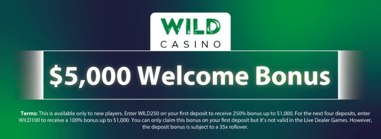 Zahlen Sie 5 Casinos ein