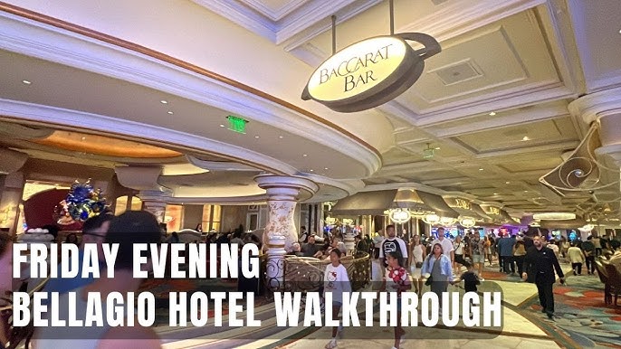 best online casino nz 2019