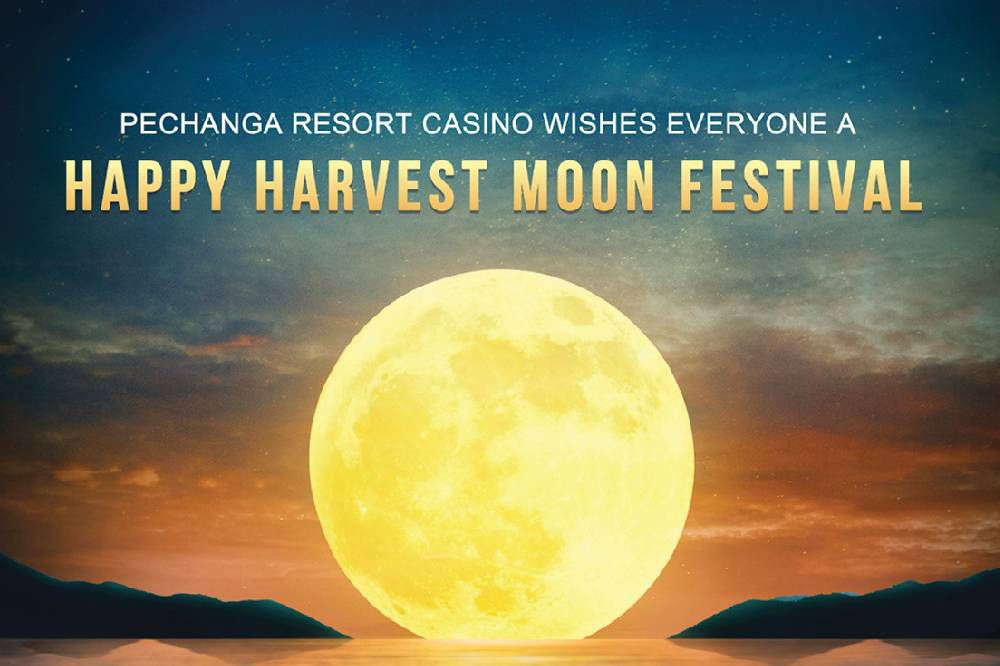 wild rubies slot free spins