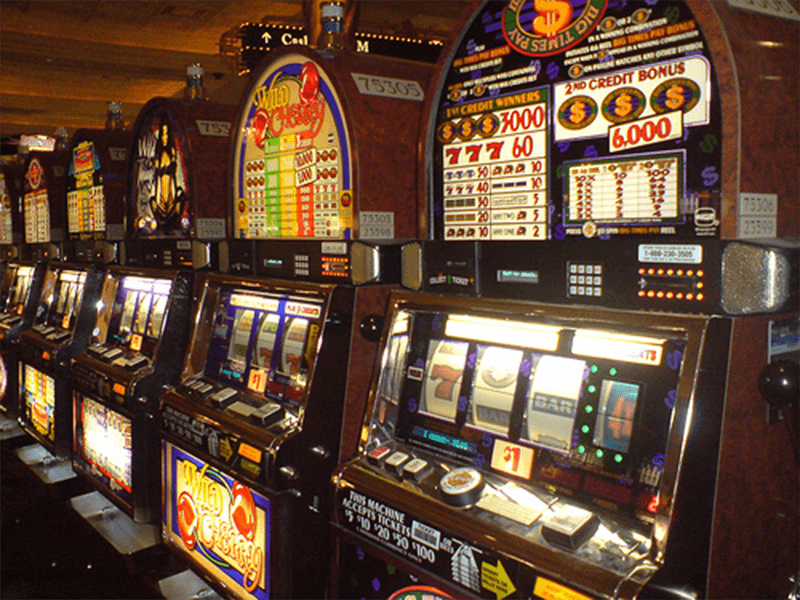 Dolphin Pearl Deluxe Slot