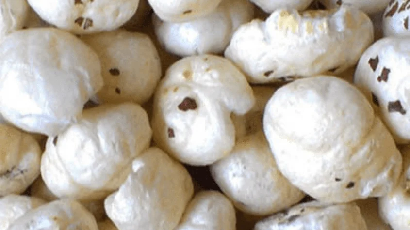 скачать lotoclub.kz