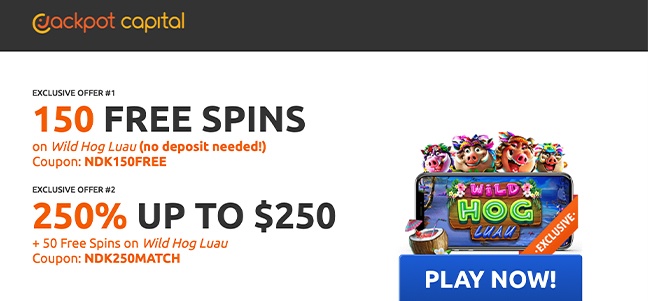 the best online casino in south africa