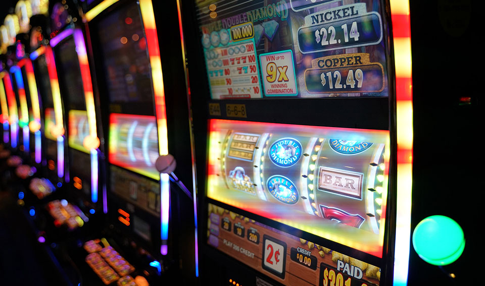 Wild Dice casino