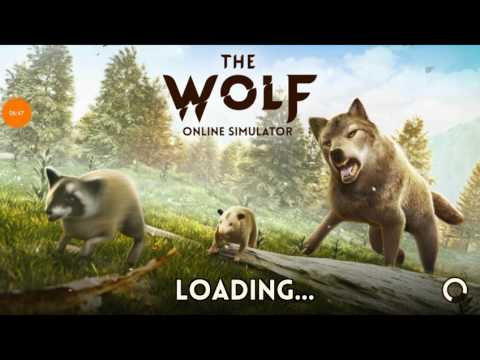 Consejos de tragamonedas de casino