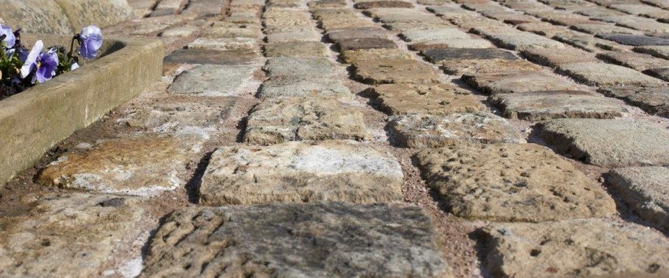 jugar tragamonedas gratis dia de los muertos