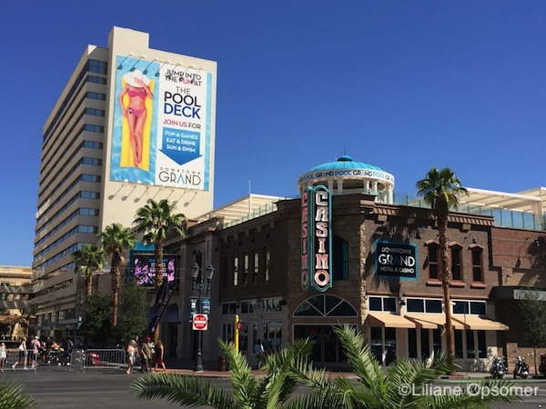 casino app free bet no deposit