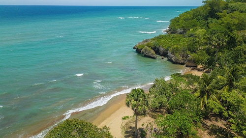 best online casino live dealer