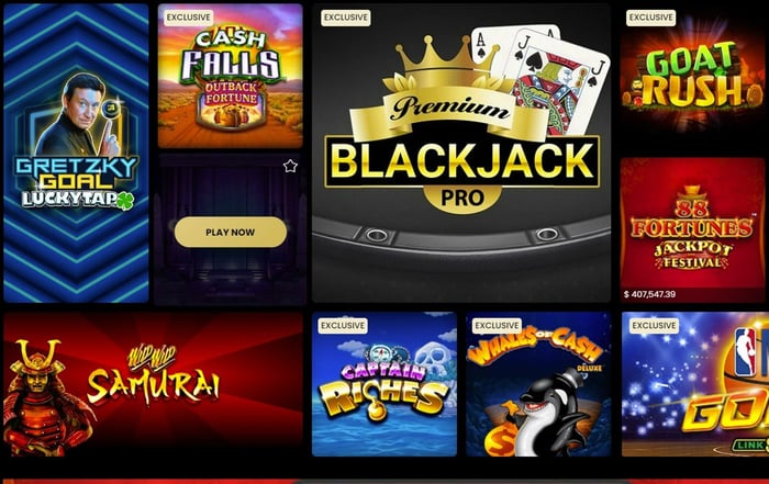 no deposit bonus wild casino
